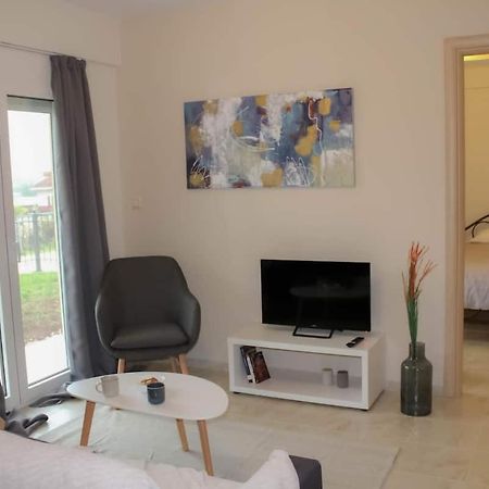 Cozy Modern Apartment Ioannina Exterior photo